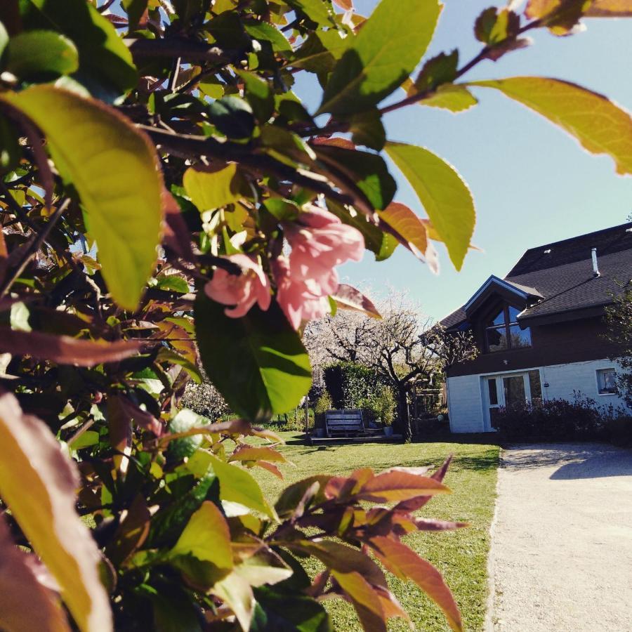 Chalet La Bachole Charancieu 외부 사진